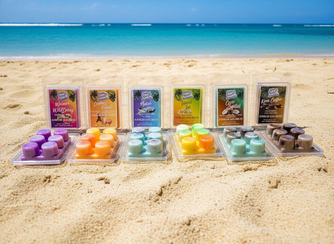 Wax Melts 101: A Beginner's Guide to Using Wax Melts at Home